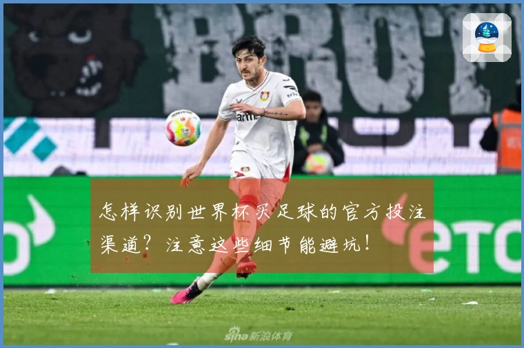 怎样识别世界杯买足球的官方投注渠道？注意这些细节能避坑！