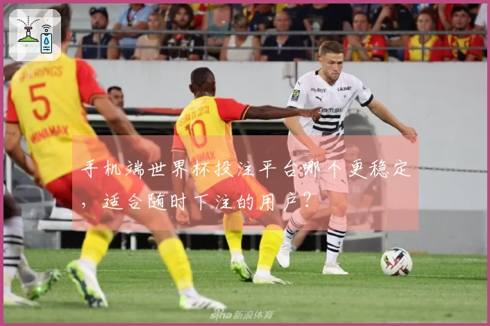 手机端世界杯投注平台哪个更稳定，适合随时下注的用户？