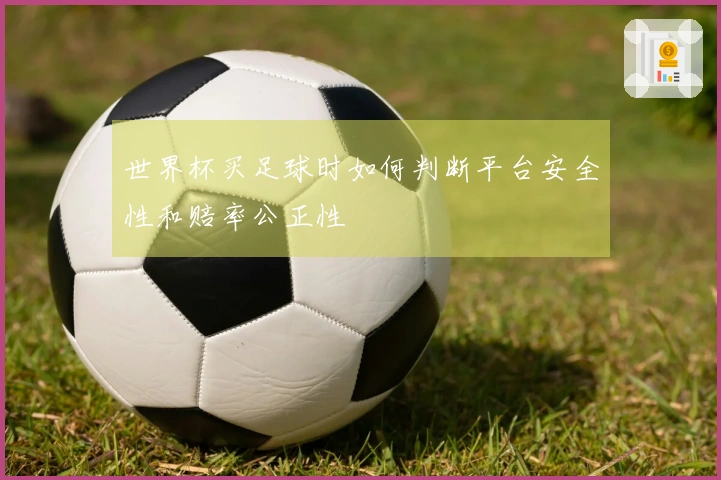 世界杯买足球时如何判断平台安全性和赔率公正性