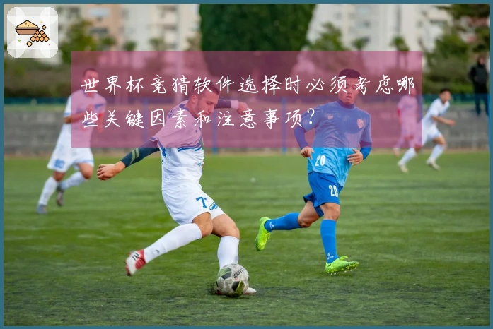 世界杯竞猜软件选择时必须考虑哪些关键因素和注意事项？
