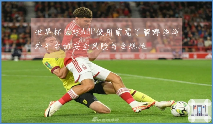 世界杯买球APP使用前需了解哪些海外平台的安全风险与合规性