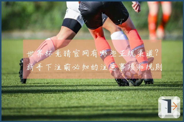 世界杯竞猜官网有哪些正规渠道？新手下注前必知的注意事项和规则解析