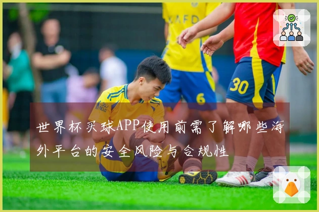 世界杯买球APP使用前需了解哪些海外平台的安全风险与合规性