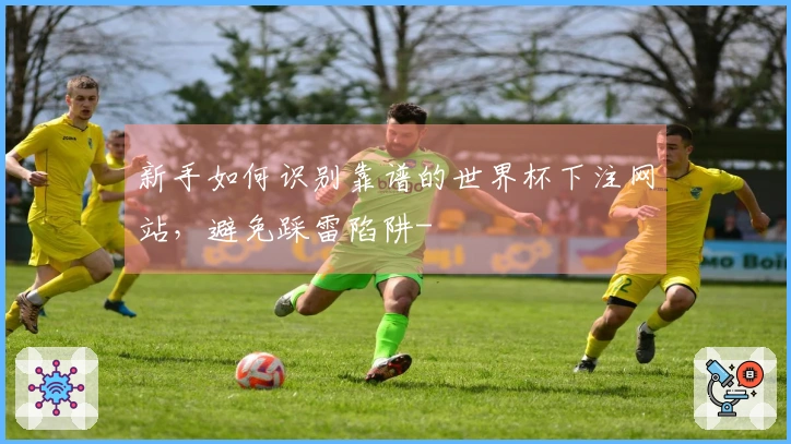 新手如何识别靠谱的世界杯下注网站，避免踩雷陷阱-