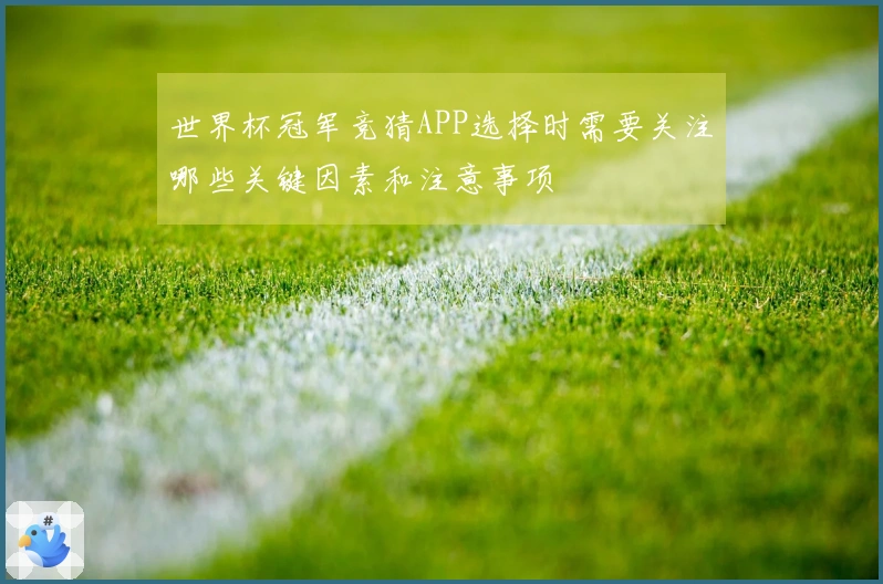 世界杯冠军竞猜APP选择时需要关注哪些关键因素和注意事项