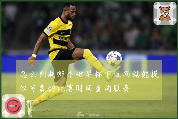 怎么判断哪个世界杯下注网站能提供可靠的比赛时间查询服务