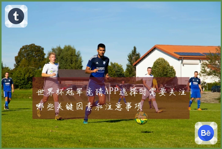 世界杯冠军竞猜APP选择时需要关注哪些关键因素和注意事项
