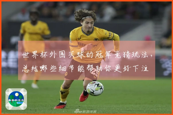 世界杯外围买球的冠军竞猜玩法，总结哪些细节能帮助你更好下注