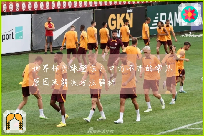 世界杯买球登录入口打不开的常见原因及解决方法解析
