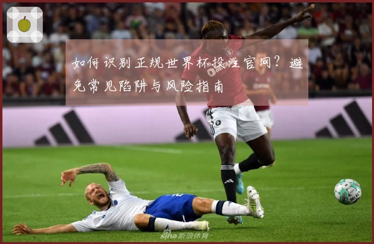 如何识别正规世界杯投注官网？避免常见陷阱与风险指南