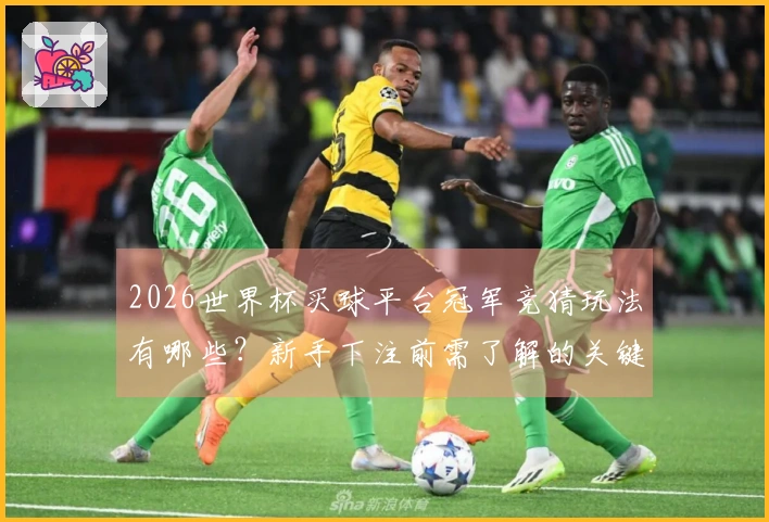 2026世界杯买球平台冠军竞猜玩法有哪些？新手下注前需了解的关键要素