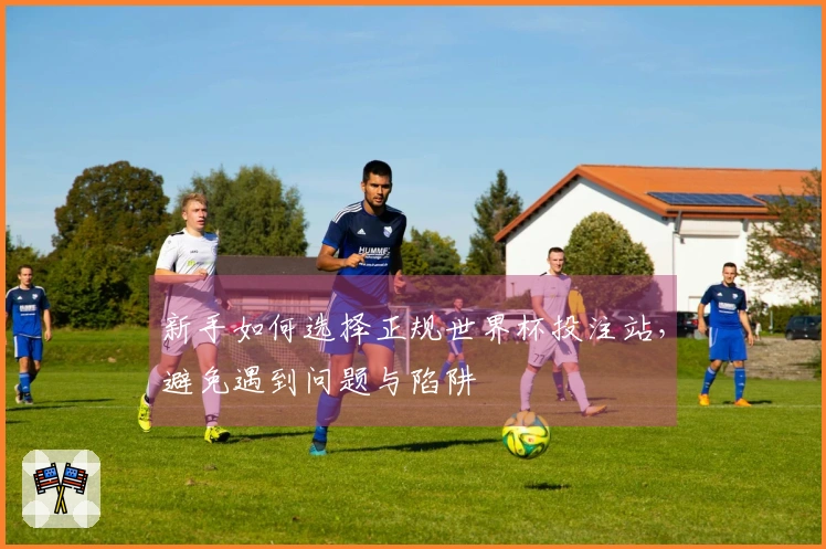 新手如何选择正规世界杯投注站，避免遇到问题与陷阱