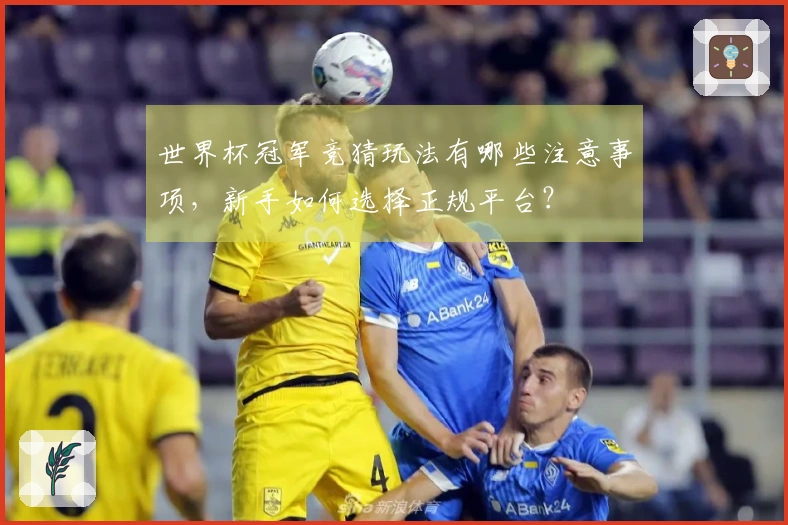 世界杯冠军竞猜玩法有哪些注意事项，新手如何选择正规平台？