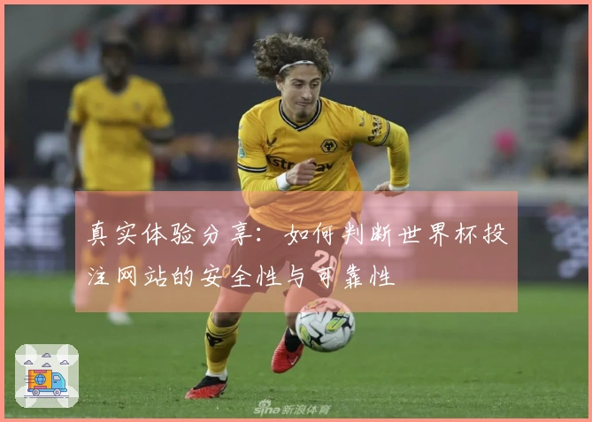 真实体验分享：如何判断世界杯投注网站的安全性与可靠性